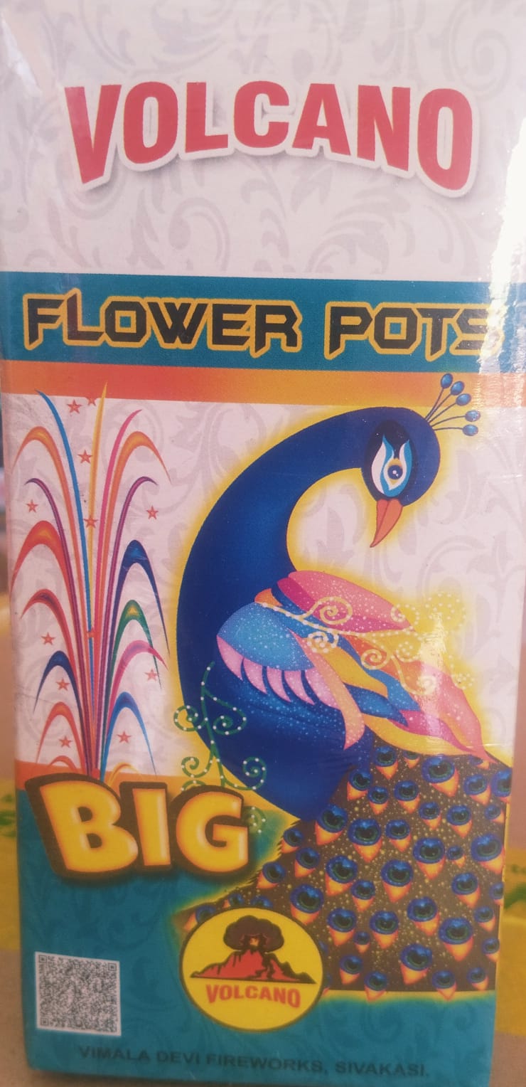 Flower Pots Big (10Pcs)
