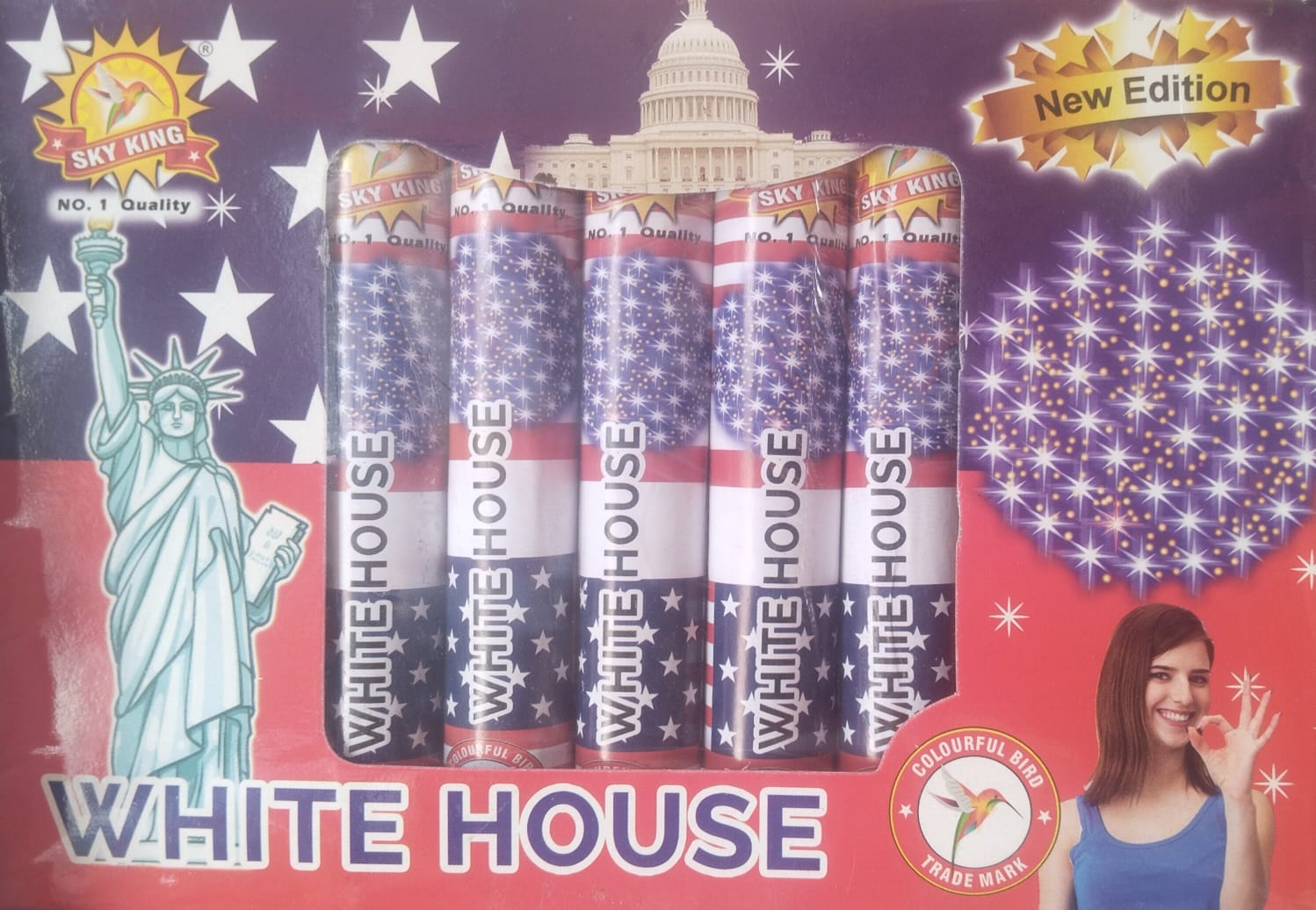 White House (5Pcs)